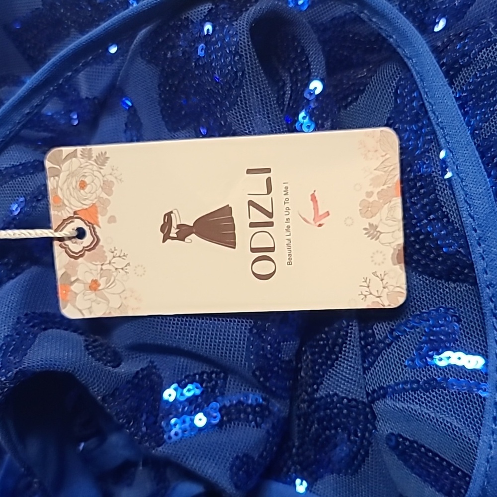 Elegant Royal Blue Sequin Bodycon Dress. W-35 - Picture 4 of 4